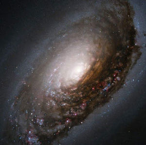 Meet your Posher, Carlos